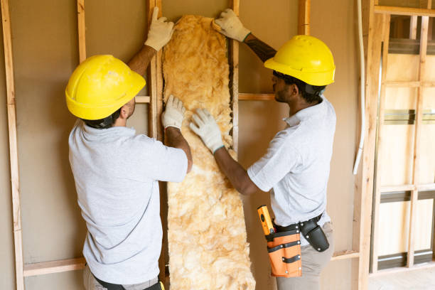Professional Insulation Contractor in Grimes, IA